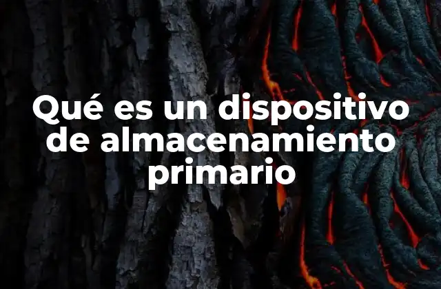 Qué es un Dispositivo de Almacenamiento Primario
