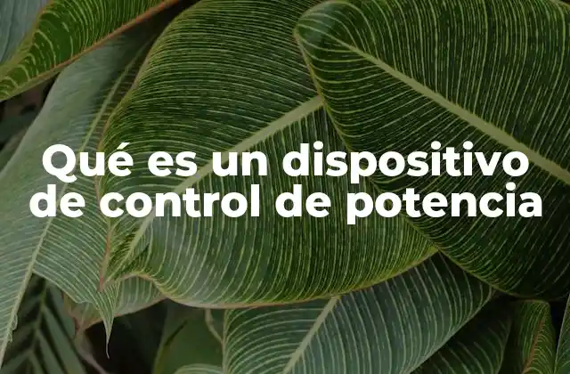 Qué es un Dispositivo de Control de Potencia