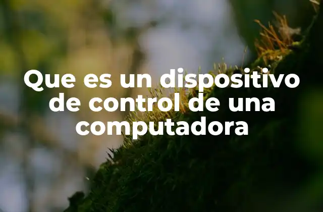 Que es un Dispositivo de Control de una Computadora