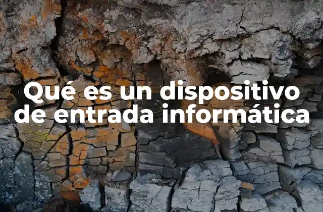 Qué es un Dispositivo de Entrada Informática