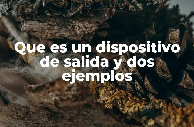 Que es un Dispositivo de Salida y Dos Ejemplos