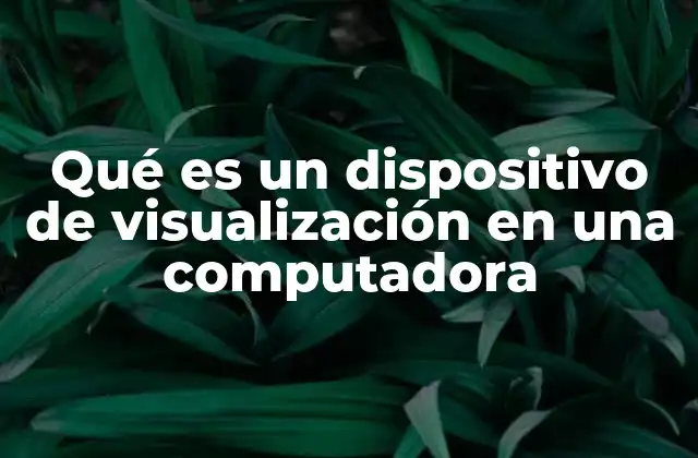 Qué es un Dispositivo de Visualización en una Computadora