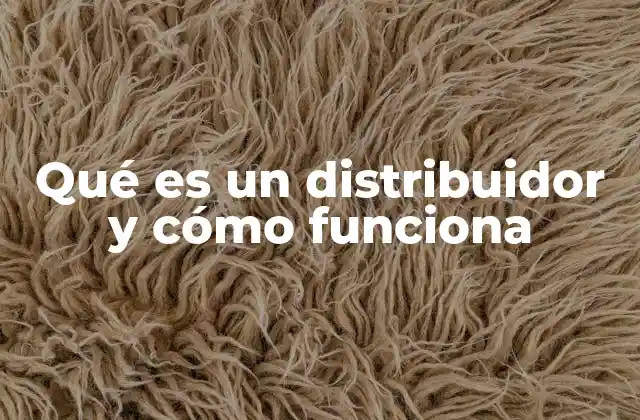 Qué es un Distribuidor y Cómo Funciona