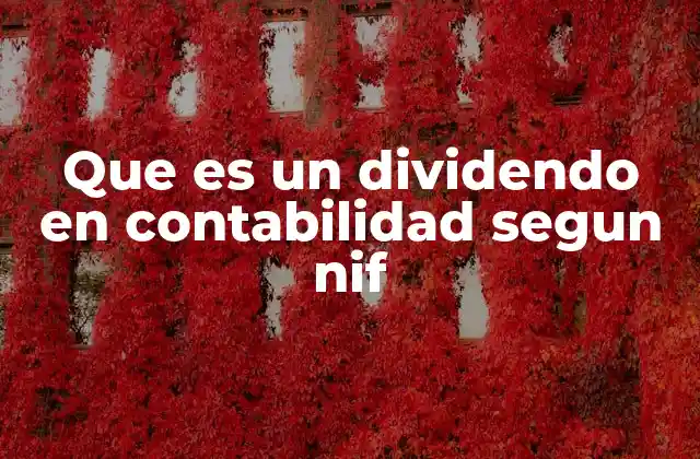 Que es un Dividendo en Contabilidad Segun Nif