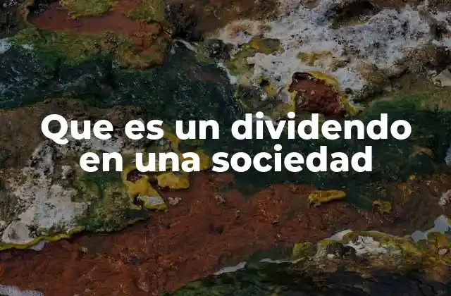 Que es un Dividendo en una Sociedad