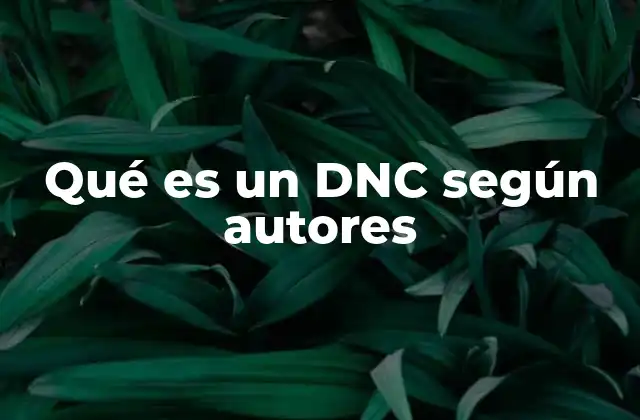 Qué es un Dnc según Autores