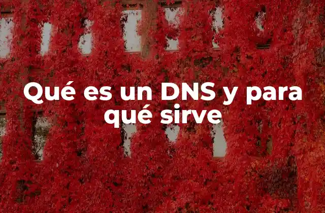 Qué es un Dns y para Qué Sirve