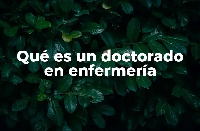 Qué es un Doctorado en Enfermería