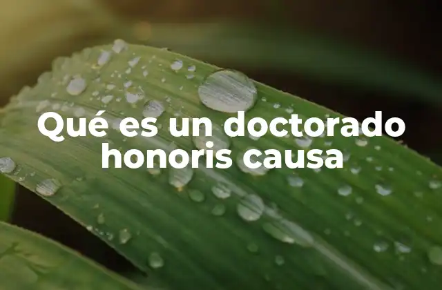 Qué es un Doctorado Honoris Causa