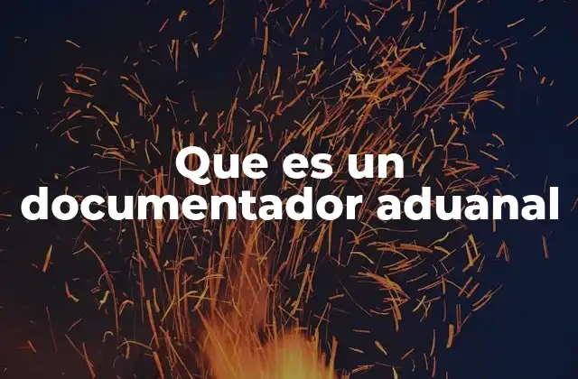 Que es un Documentador Aduanal