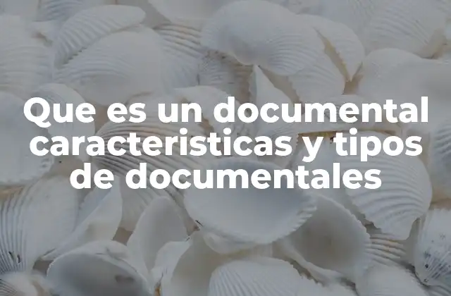 Que es un Documental Caracteristicas y Tipos de Documentales