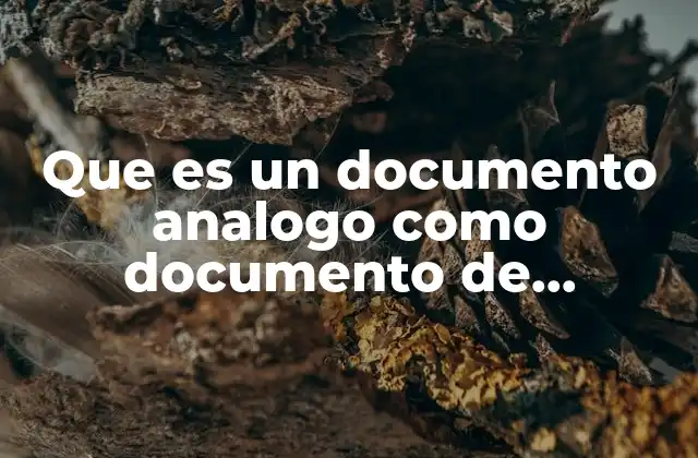 El papel de los documentos análogos en la identificación oficial
