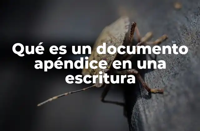 Qué es un Documento Apéndice en una Escritura 2 La importancia de los apéndices en la estructura de una escritura