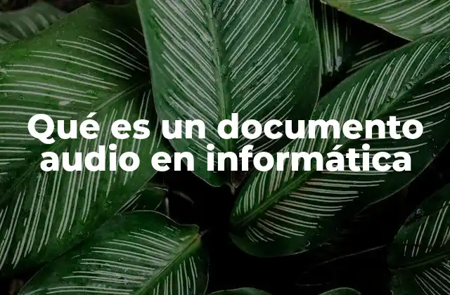 Qué es un Documento Audio en Informática