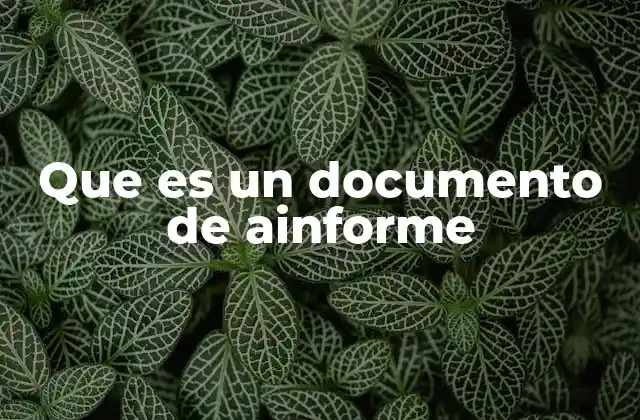 Que es un Documento de Ainforme
