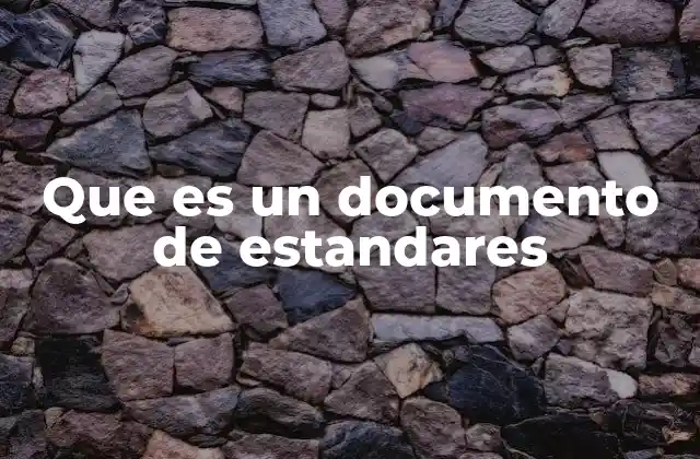 Que es un Documento de Estandares