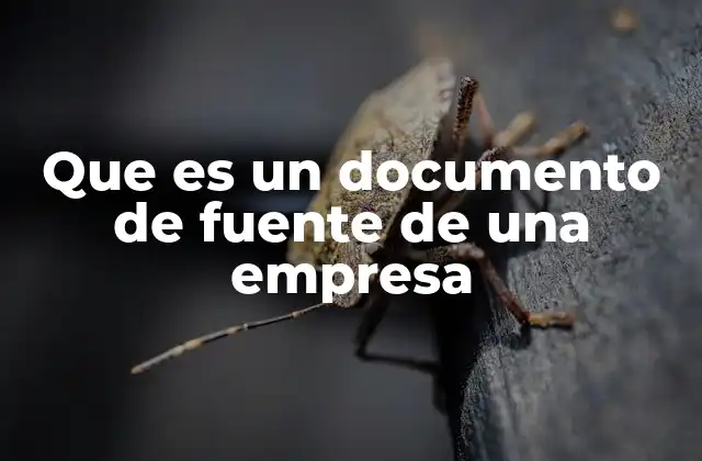 Que es un Documento de Fuente de una Empresa