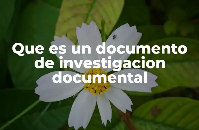 Que es un Documento de Investigacion Documental