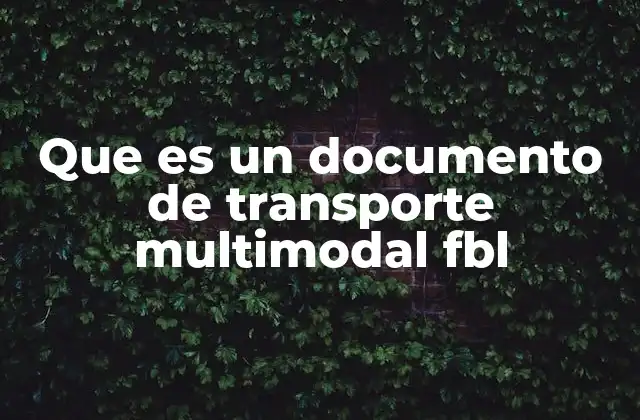 Que es un Documento de Transporte Multimodal Fbl