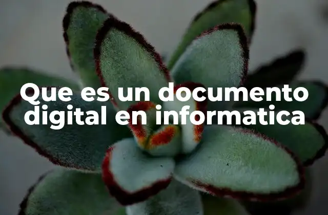 Los fundamentos de los documentos electrónicos en la informática
