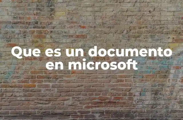 Que es un Documento en Microsoft