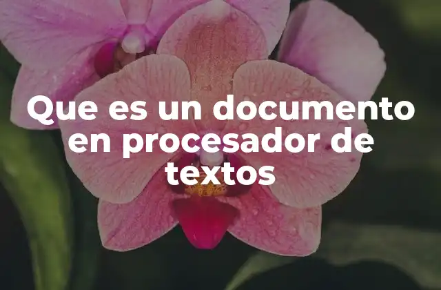 Que es un Documento en Procesador de Textos