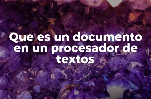 Que es un Documento en un Procesador de Textos