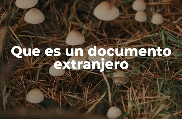 Que es un Documento Extranjero