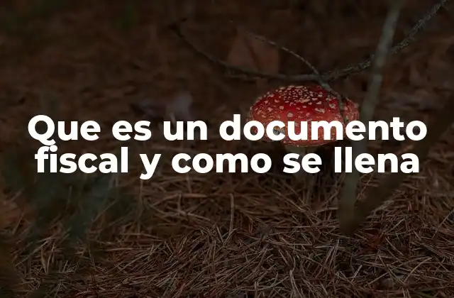 Que es un Documento Fiscal y como Se Llena