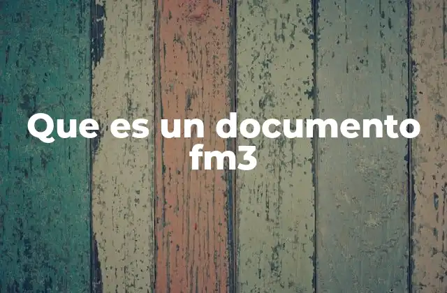 Que es un Documento Fm3