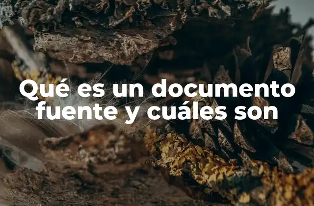 Qué es un Documento Fuente y Cuáles Son