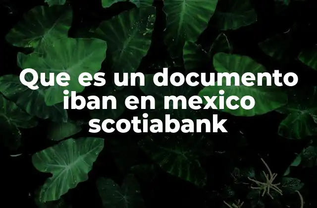 Que es un Documento Iban en Mexico Scotiabank
