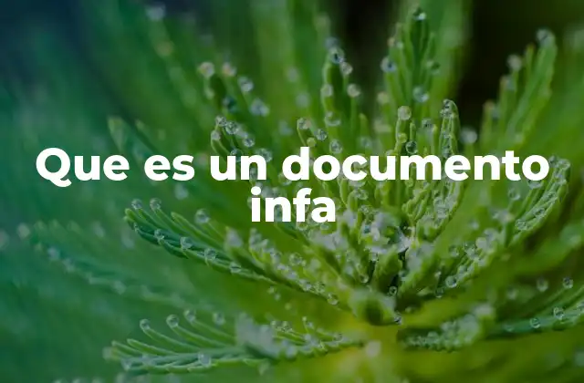Que es un Documento Infa
