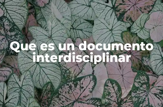 Que es un Documento Interdisciplinar