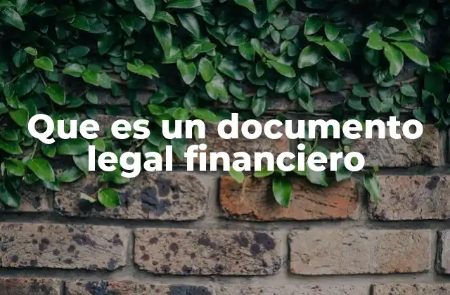 Que es un Documento Legal Financiero