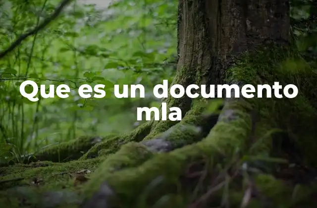 Que es un Documento Mla