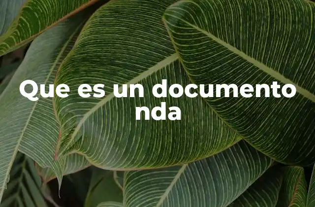 Que es un Documento Nda