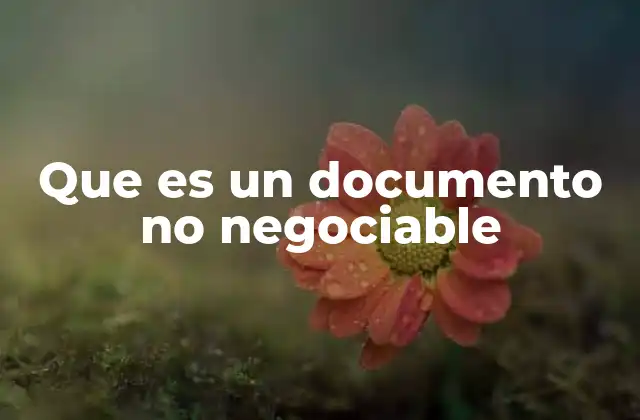 Que es un Documento No Negociable