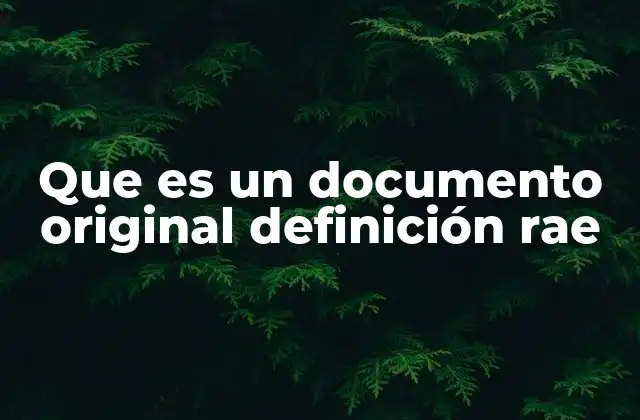 Que es un Documento Original Definición Rae 2 El valor de los documentos en la sociedad moderna