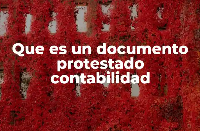 Que es un Documento Protestado Contabilidad