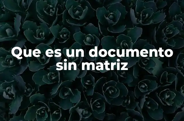 Que es un Documento sin Matriz