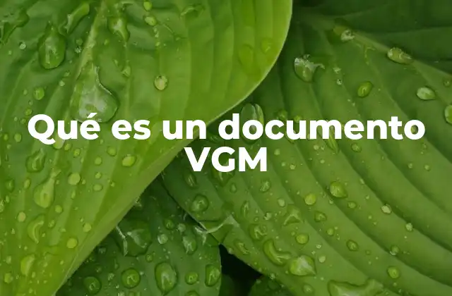 Qué es un Documento Vgm