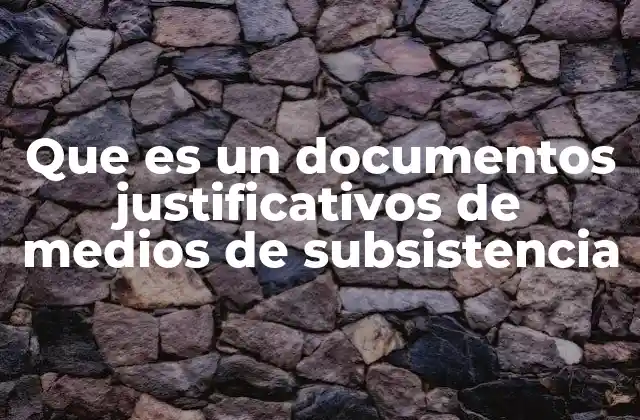 Que es un Documentos Justificativos de Medios de Subsistencia