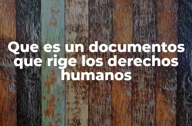 Que es un Documentos que Rige los Derechos Humanos