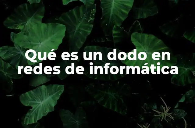 Qué es un Dodo en Redes de Informática