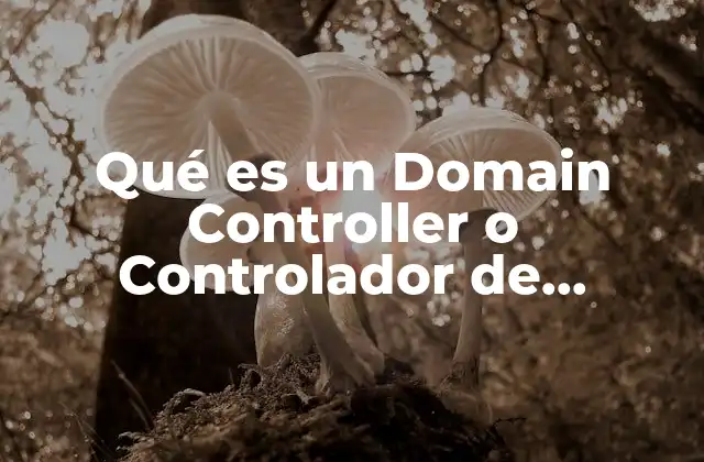 Qué es un Domain Controller o Controlador de Dominio