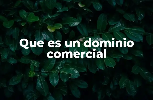 Que es un Dominio Comercial