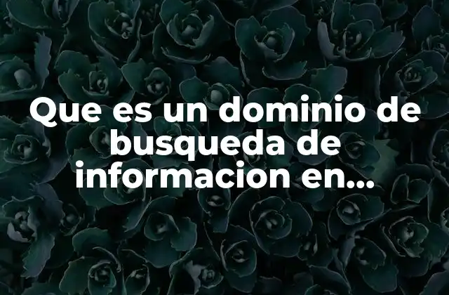 Que es un Dominio de Busqueda de Informacion en Internet