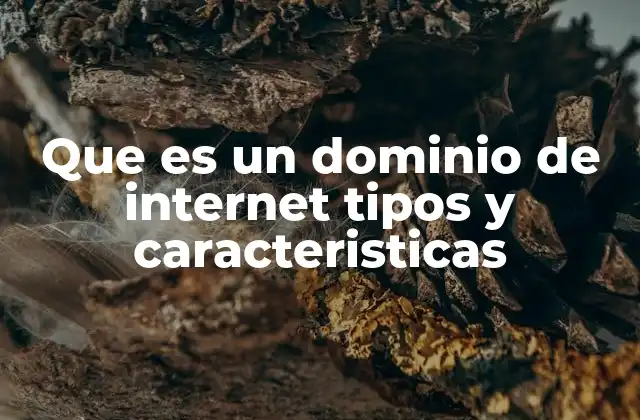 Que es un Dominio de Internet Tipos y Caracteristicas