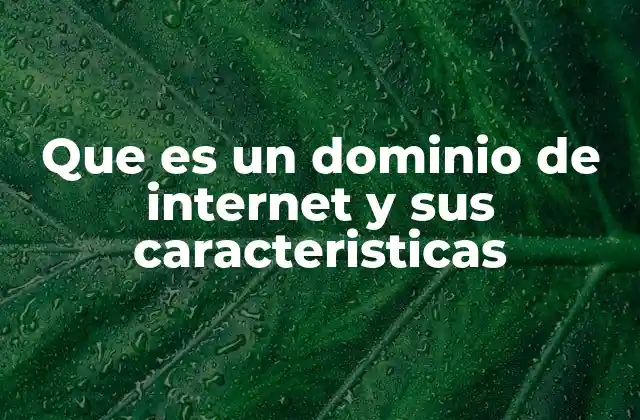 Que es un Dominio de Internet y Sus Caracteristicas